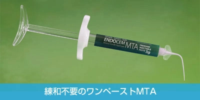 エンドセム MTA premixed